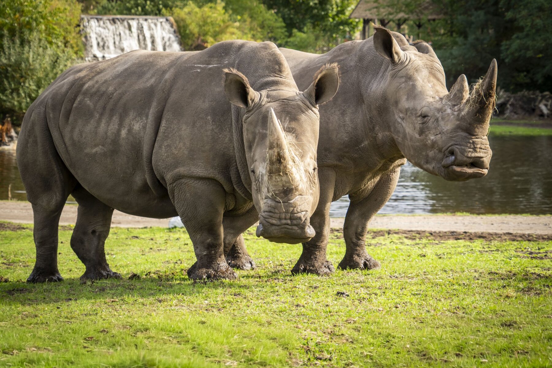 Salma und Moana im Serengeti-Park vor ihrem Umzug nach Mexiko